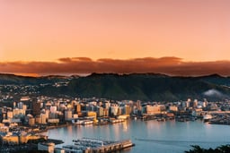 Doomsday Comedy - Wellington poster